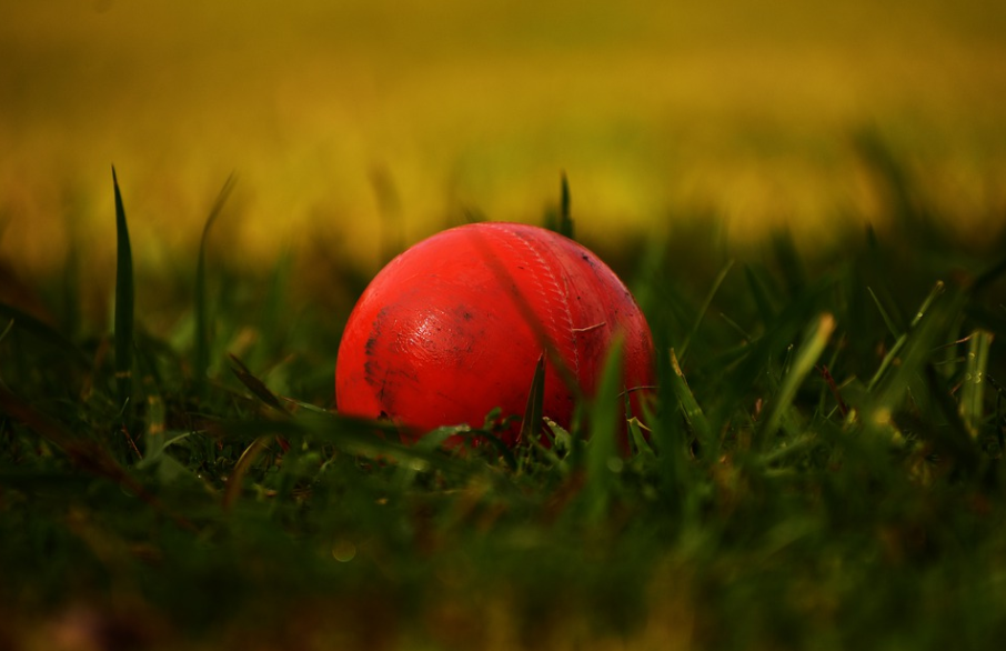 Ball Cricket Sports Leaf Green
